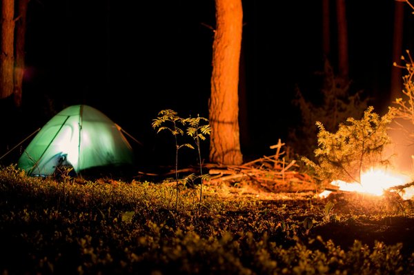 Explore the Top Family-Friendly Halloween Campsites in the UK for a Thrilling, Unforgettable Adventure
