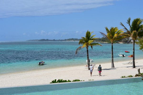 Uncover Isle of Wight Getaways: Exclusive Dinosaur Fossil Tours Await